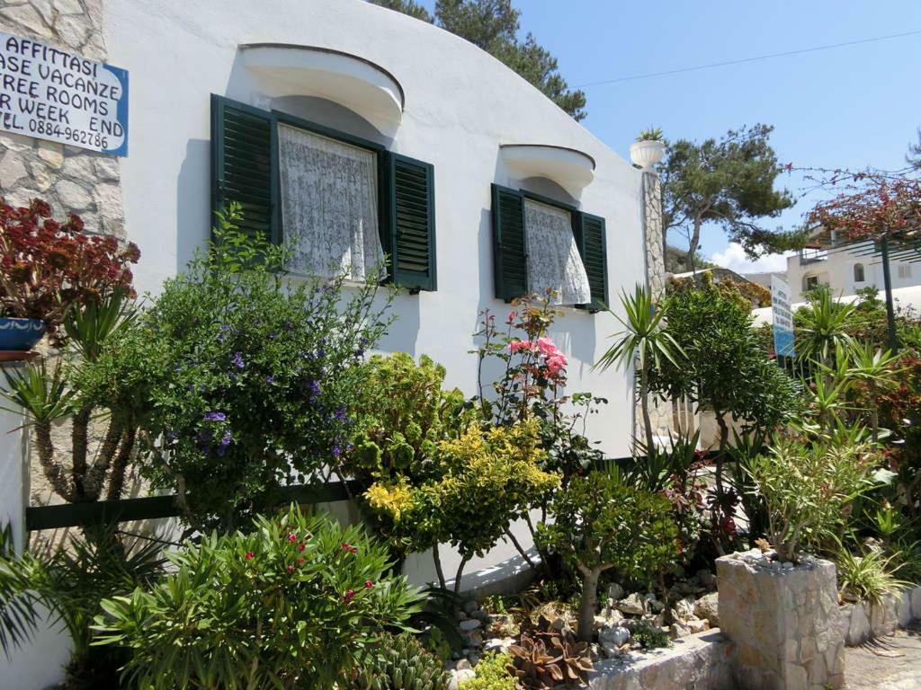 Blu Marine Casa A 10Mt Dalla Spiaggia Peschici Zewnętrze zdjęcie